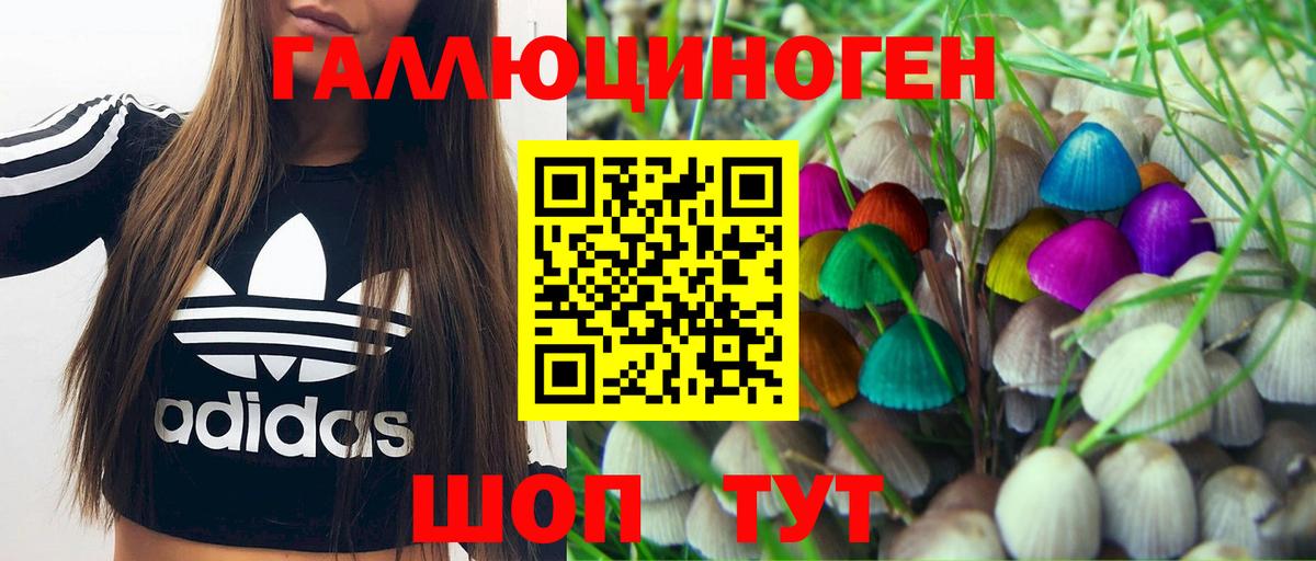 Галлюциногенные грибы Psilocybine cubensis Бор
